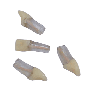 Replacement Teeth for Navadha Endo jaw & #45