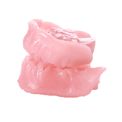 Dental Typodont Jaw / Model for Surgery Practice & Model for Surgery