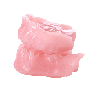 Dental Typodont Jaw / Model for Surgery Practice & Model for Surgery