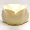 Dental Model of jaw and mandible & Articulator plac