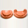 Dental Model of jaw and mandible & Model of jaw and mandible