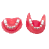 Impacted tooth Extraction Surgery Dental Jaw Model Upper and Lower set