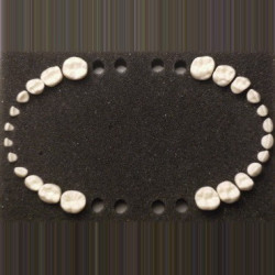 Paediatric Mixed Dentition Typodont Practice Jaw set & Teeth Set