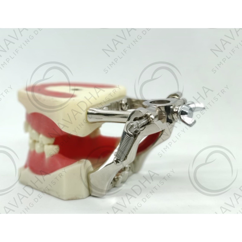 Orthodontic typodont with Ivorine teeth & Orthodontic jaw + Metal articulator for Orthodontic jaw