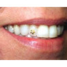 Dental Jewellery - Nike/ Tick - 22kt gold