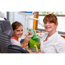 Hand Puppets for Dental Education & Elephant