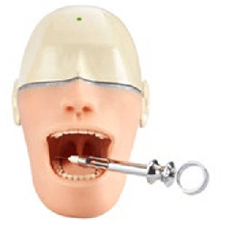 Oral Anaesthesia Training Manikin, Anesthesia