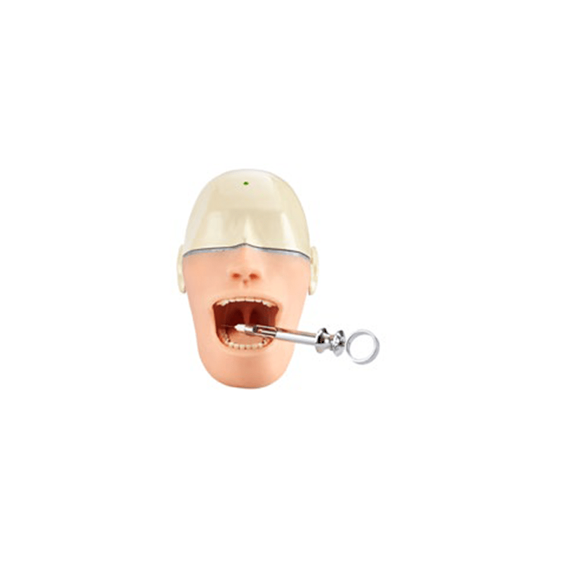Oral Anaesthesia Training Manikin, Anesthesia