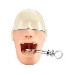 Oral Anaesthesia Training Manikin, Anesthesia