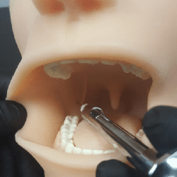 Oral Anaesthesia Training Manikin, Anesthesia