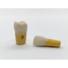 Columbia Dentoform Ivorine Dentine Tooth 860 & #8