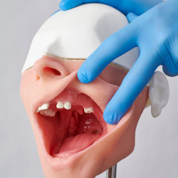 Surgio - Hyper-Real Implant Surgery Partner & Surgio - Hyper-Real Implant Surgery Partner
