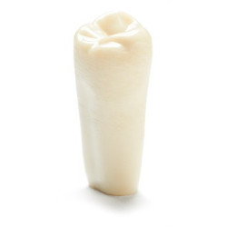 ADC Teeth for ADC model - PVR 860 Teeth #1