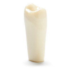 ADC Teeth for ADC model - PVR 860 Teeth #4