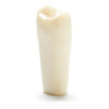ADC Teeth for ADC model - PVR 860 Teeth #4
