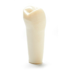 ADC Teeth for ADC model - PVR 860 Teeth #5