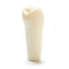 ADC Teeth for ADC model - PVR 860 Teeth #5