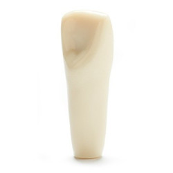 ADC Teeth for ADC model - PVR 860 Teeth #8