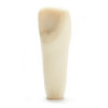 ADC Teeth for ADC model - PVR 860 Teeth #8