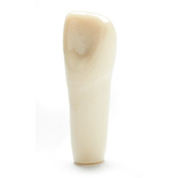 ADC Teeth for ADC model - PVR 860 Teeth #9