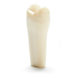 ADC Teeth for ADC model - PVR 860 Teeth #12