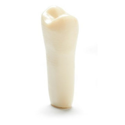 ADC Teeth for ADC model - PVR 860 Teeth #13