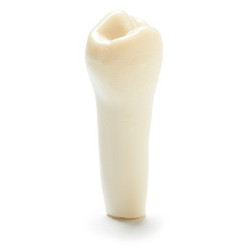 ADC Teeth for ADC model - PVR 860 Teeth #20