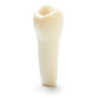 ADC Teeth for ADC model - PVR 860 Teeth #20