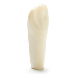 ADC Teeth for ADC model - PVR 860 Teeth #22