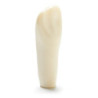ADC Teeth for ADC model - PVR 860 Teeth #22