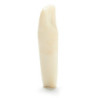 ADC Teeth for ADC model - PVR 860 Teeth #23