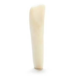 ADC Teeth for ADC model - PVR 860 Teeth #24