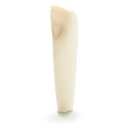ADC Teeth for ADC model - PVR 860 Teeth #25