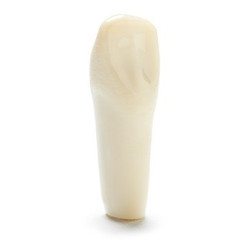 ADC Teeth for ADC model - PVR 860 Teeth #27