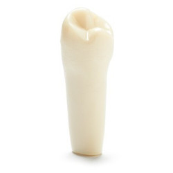 ADC Teeth for ADC model - PVR 860 Teeth #28