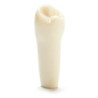 ADC Teeth for ADC model - PVR 860 Teeth #28