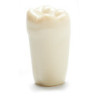 ADC Teeth for ADC model - PVR 860 Teeth #30