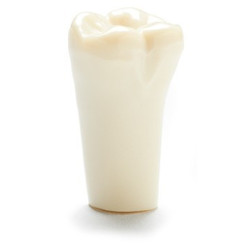 ADC Teeth for ADC model - PVR 860 Teeth #31