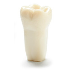 ADC Teeth for ADC model - PVR 860 Teeth #32