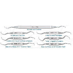 Navadha Gracey Curette Instruments & 3/4