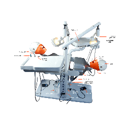 Navadha Dual Dental Simulator with Torso
