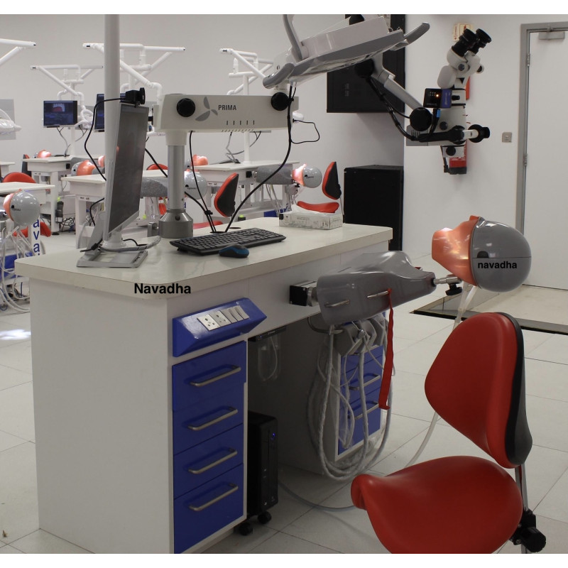 Navadha Teacher Bench Dental Simulator with Torso