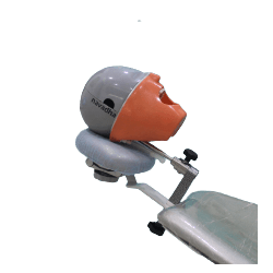 Radiology X-ray training dental manikin with Chair Neck rest mount