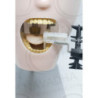 Radiology X-ray training dental manikin with Bench mount Mankin
