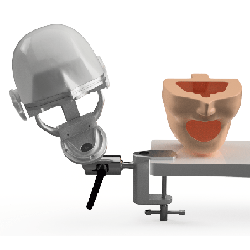 NEO OSCE / ADC Manikin Dental Phantom Head & Bench Table Mounting&With ADC Magnetic Jaws & Articulator&With ADC DM1 Mask