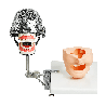 NEO OSCE / ADC Manikin Dental Phantom Head & Bench Table Mounting&With ADC Magnetic Jaws & Articulator&With ADC DM1 Mask