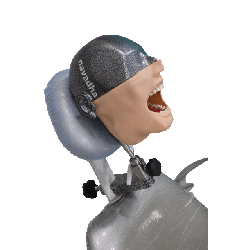 NEO OSCE / ADC Manikin Dental Phantom Head & Bench Table Mounting&With ADC Magnetic Jaws & Articulator&With ADC DM1 Mask