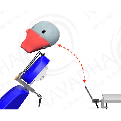 OSCE / ADC Manikin Bench + Chair Mount & With ADC PVR 860 Magnetic Jaws & Articulator&Navadha Fletcher