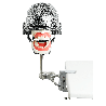 NEO OSCE / ADC Manikin Dental Phantom Head & Bench Table Mounting&With ADC Magnetic Jaws & Articulator&Without Mask