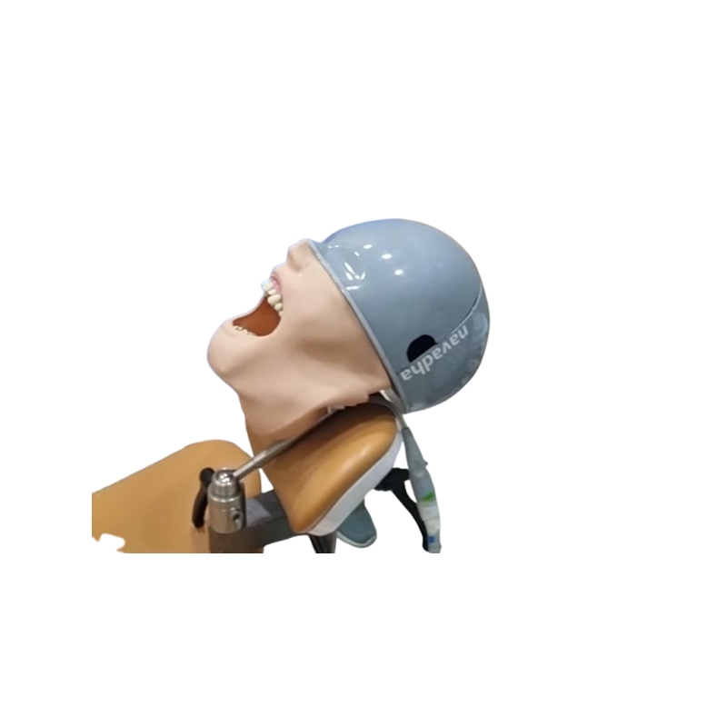 ADC Dental Chair Mount Manikin with ADC DM1 Mask & Magnetic Jaws